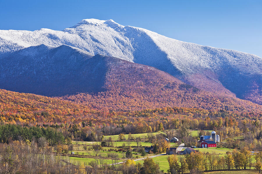 Bernie Krigstein