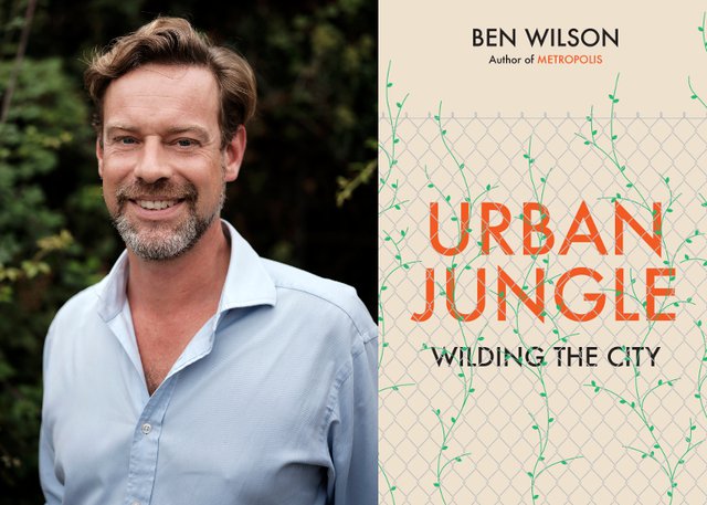 Ben Wilsonham